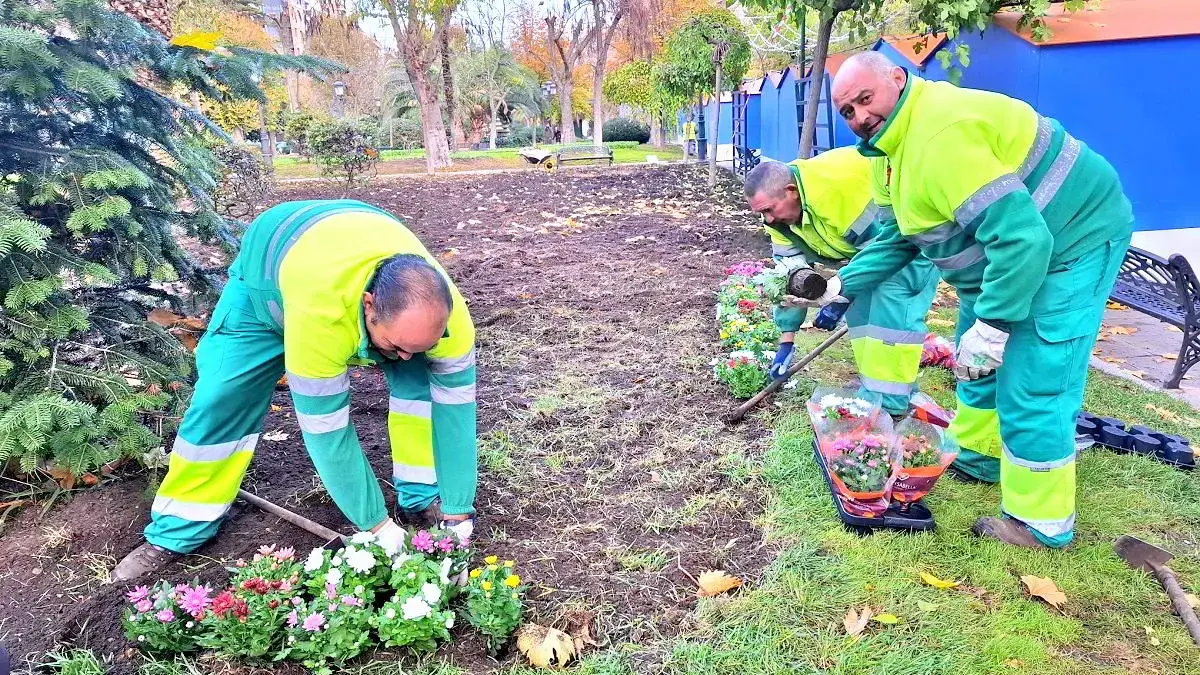 Plantas y zona verde municipal en Puertollano