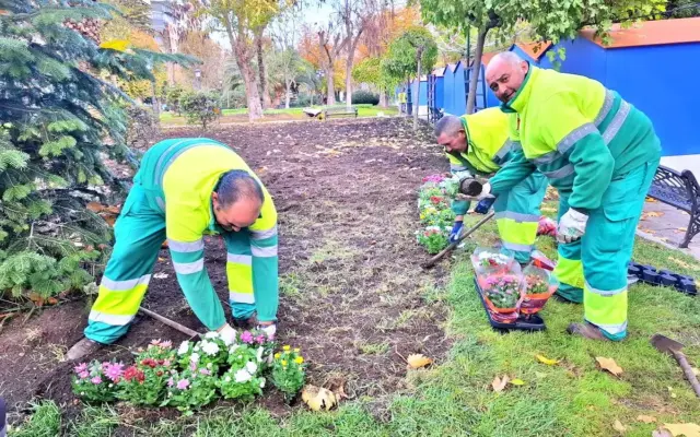 Plantas y zona verde municipal en Puertollano
